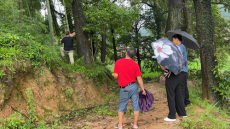 湖南綏寧黃土礦鎮(zhèn)對古樹名木編號掛牌保護