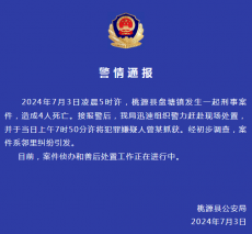 湖南桃源縣發(fā)生刑案致4人死亡，警方：嫌疑人被抓獲