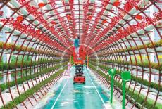 智慧農(nóng)業(yè)