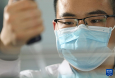 我國科研團(tuán)隊(duì)首次構(gòu)建泛癌種脈管系統(tǒng)全息細(xì)胞圖譜