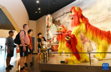 文化中國(guó)行丨在中國(guó)大運(yùn)河“非遺”展示館感受文化脈動(dòng)