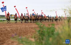 內(nèi)蒙古鄂托克旗：共享多彩那達(dá)慕