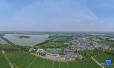 淀山湖對話白洋淀：探尋綠色發(fā)展“密碼”