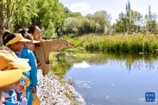 西藏：開啟生態(tài)科普研學活動