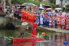 粵桂協(xié)作助力苗山“水文化”振興