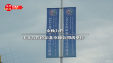 時政微紀(jì)錄丨擘畫新時代中非合作新藍(lán)圖