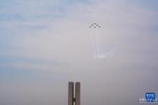 巴西舉行獨立202周年慶典活動