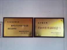 國家和省市縣作協(xié)領導走進高沙鎮(zhèn)文聯(lián)，助力高沙文化復興