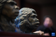 距今百萬年“鄖縣人”頭骨化石科學(xué)相貌復(fù)原首次揭曉