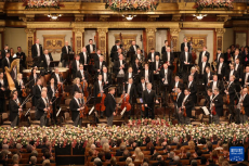 2025年維也納新年音樂會(huì)上演