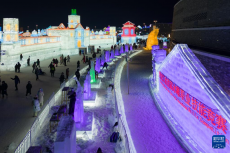 哈爾濱：冰雕選手展技藝