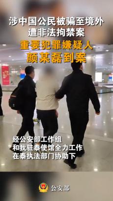 王星案重要犯罪嫌疑人“顏十六”到案