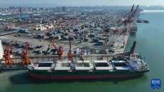 遼寧營口：“北糧南運”運輸忙