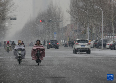 河北石家莊出現(xiàn)降雪天氣
