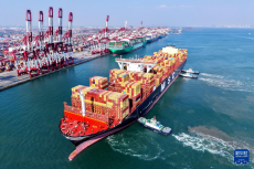 山東青島：新年開辟4條國際集裝箱航線