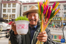 藏歷新年將至 拉薩年貨市場(chǎng)購銷兩旺