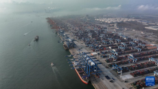 2025年前2個月西部陸海新通道鐵海聯(lián)運貨物量迅速增長