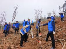 湖南寧鄉(xiāng)：環(huán)保志愿者們踴躍植樹 助力生態(tài)文明建設(shè)