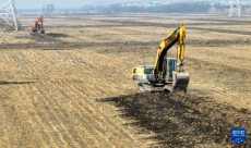 天津津南：高標(biāo)準(zhǔn)農(nóng)田建設(shè)忙