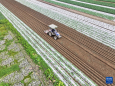重慶潼南：春暖農(nóng)事忙
