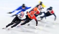 短道“中國龍”，即將主場出戰(zhàn)！