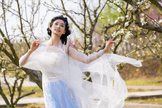 衡陽市珠金甲梨園第十屆梨花節(jié)將于3月28日啟幕