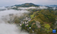 云海古村春光美