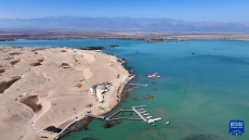 春到沙湖迎客來