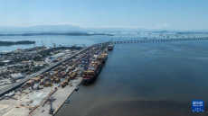 巴西多舉措應對美貿(mào)易保護主義