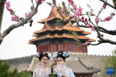 春風春景里的攝影熱