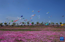 第42屆濰坊國際風箏會開幕