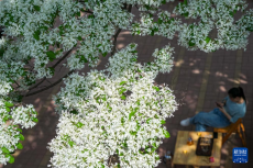 山東濟南：休閑庭院激發(fā)消費新活力