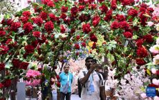 第137屆廣交會(huì)第二期開(kāi)幕