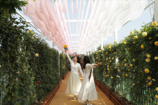 金甲玫瑰園八大文學秘境打造專屬浪漫南法風情打卡地