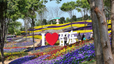 全是精華！“五一”來邵東，游玩攻略來了