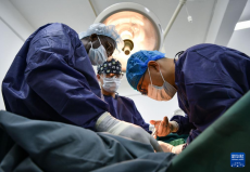 中國(guó)第31批援幾內(nèi)亞醫(yī)療隊(duì)在當(dāng)?shù)亻_(kāi)展醫(yī)療服務(wù)