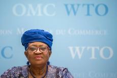 世貿組織歡迎中美經貿高層會談取得積極成果