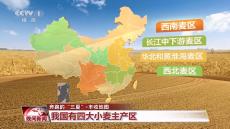 又到一年夏收季！全國豐收地圖來了