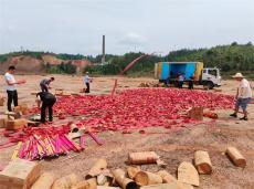 貴州錦屏：多部門聯(lián)合集中銷毀非法煙花爆竹