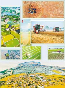 小滿至 農(nóng)事忙