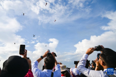 第17屆蘭卡威國際海事和航空展開幕