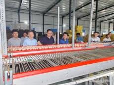 湖南宜陽(yáng)街道：取鄉(xiāng)村振興“真經(jīng)” 探集體經(jīng)濟(jì)“富路”