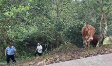 兩頭耕?！巴媸й櫋?警民聯(lián)動(dòng)幫找回