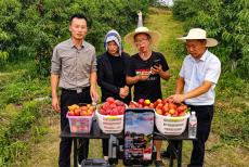 安徽廬江：書記四人尋 帶貨助農忙