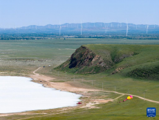 內(nèi)蒙古太仆寺旗：神奇的“牛奶湖”