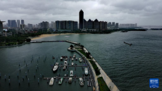 臺風“蝴蝶”在廣東雷州二次登陸