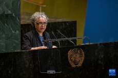 聯(lián)大批準(zhǔn)設(shè)立“反對(duì)單邊強(qiáng)制措施國(guó)際日”