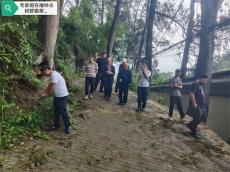 貴州省林科院專家組赴黔西鐘山為古樹(shù)群復(fù)壯“把脈”