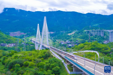 渝廈高鐵重慶東至黔江段開(kāi)通運(yùn)營(yíng)