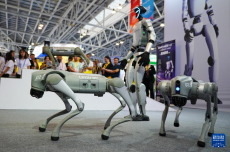 第四屆RCEP區(qū)域（山東）進(jìn)口商品博覽會(huì)在臨沂開(kāi)幕